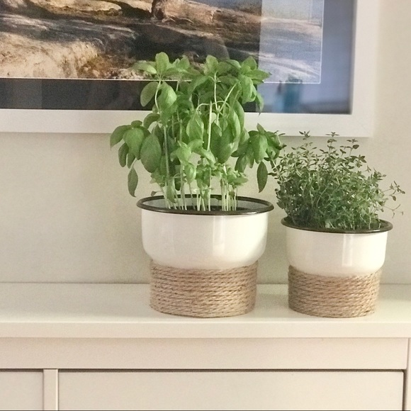 Flower Pot - Picture 9 of 9